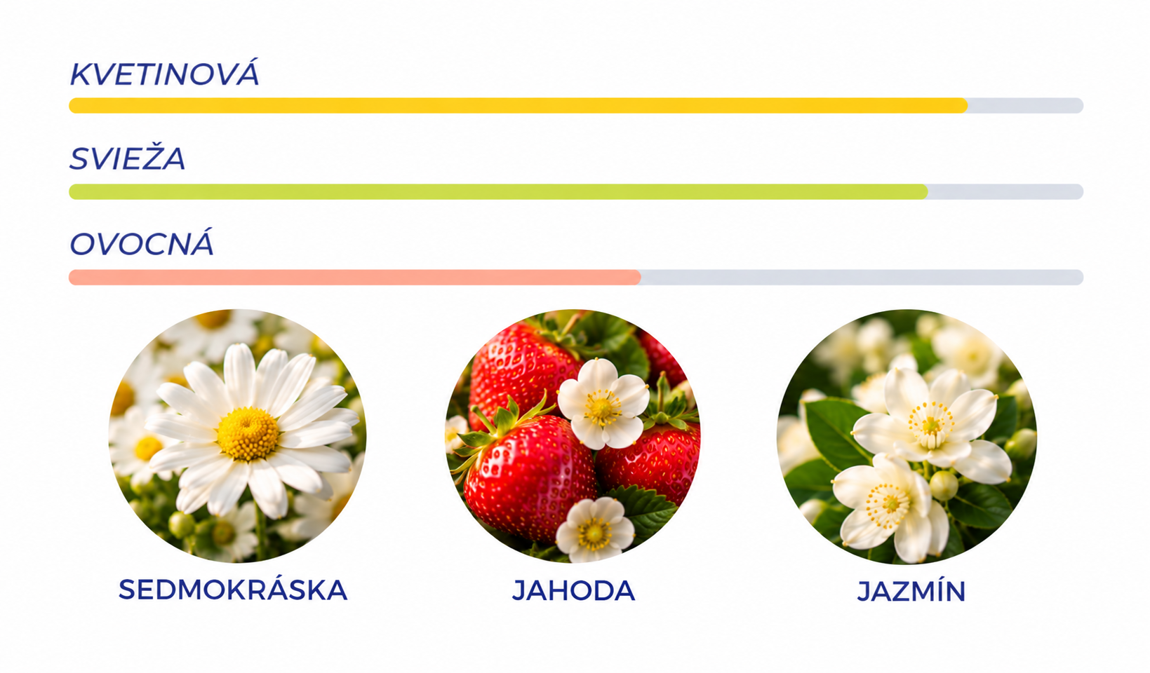 Minimalist grafika vôňových tónov